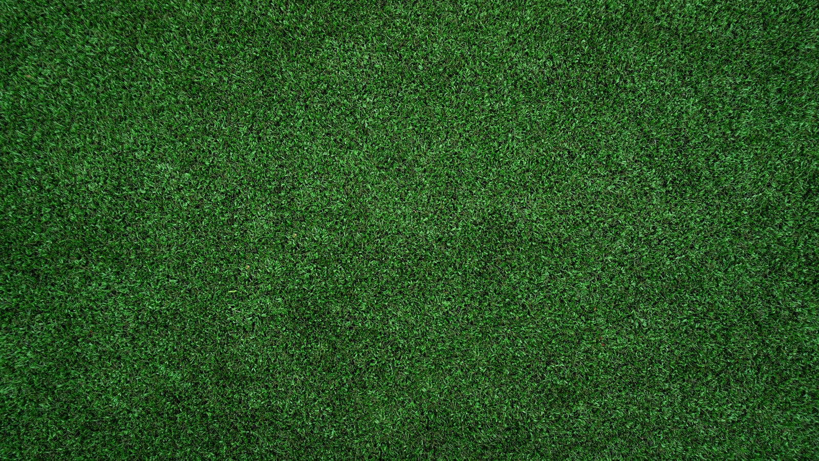topview of grass lawn