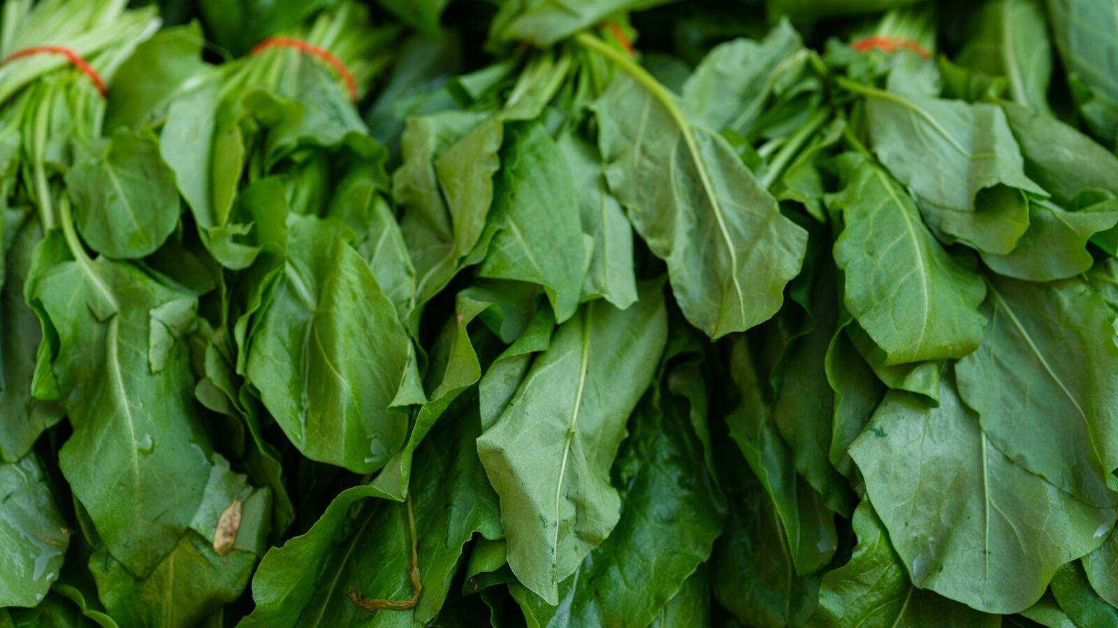 a pile of green leafy vegetables sitting on top of a table