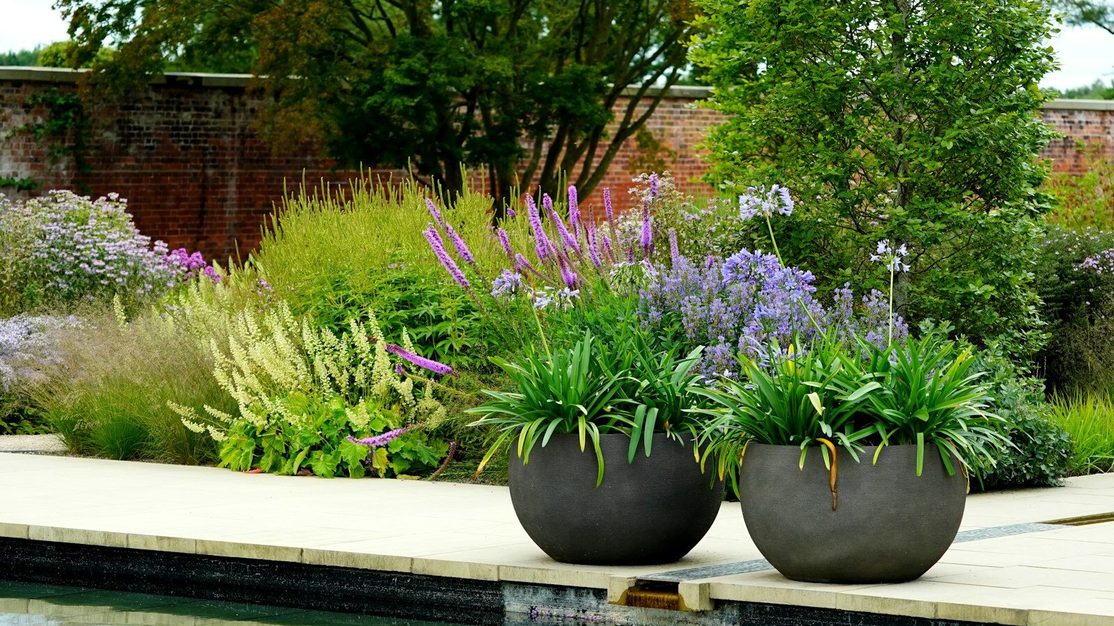 a group of potted plants on a ledge by a pool