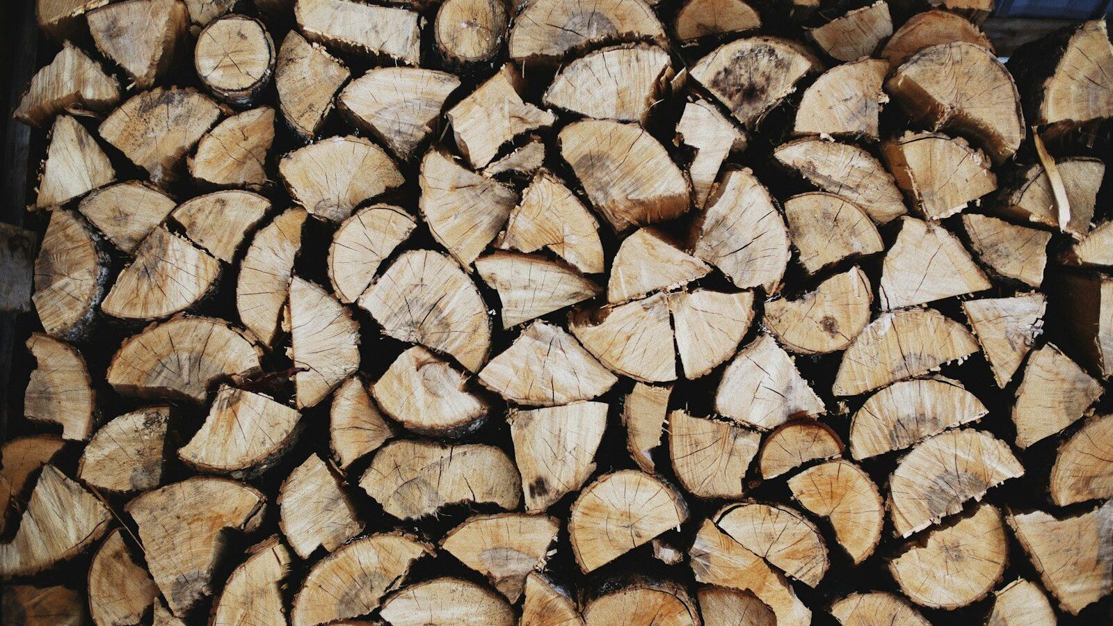 pile of brown log