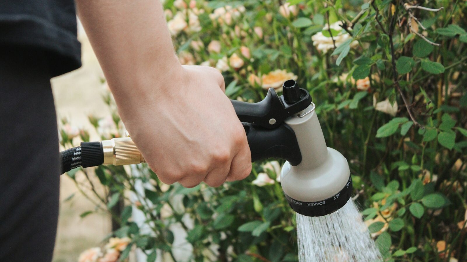 a person is holding a hose and spraying water