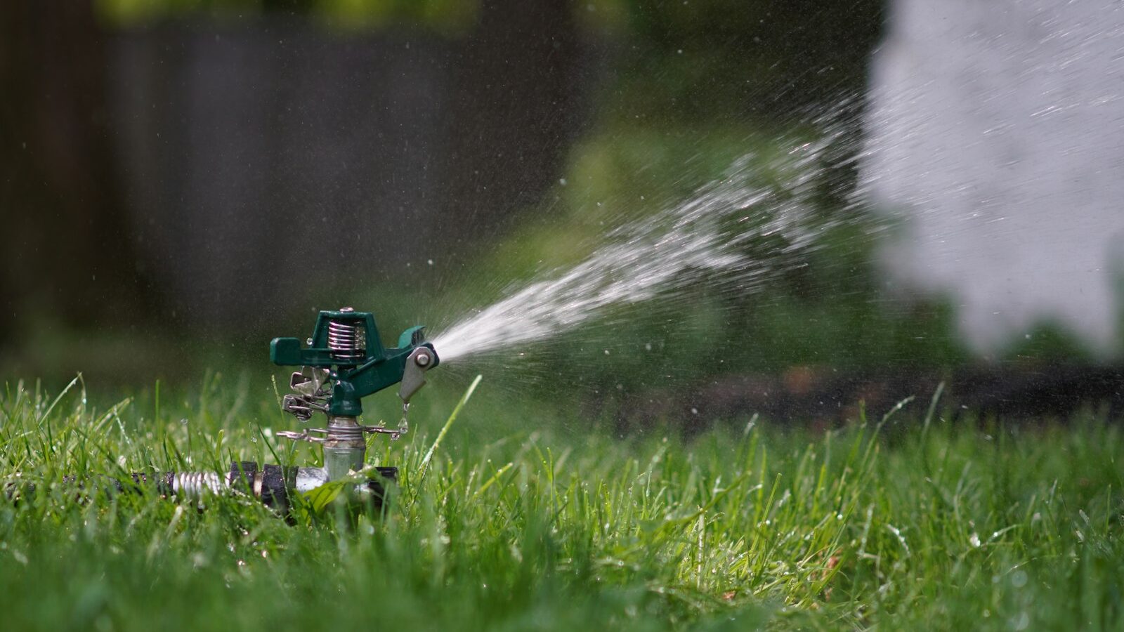 green and black lego toy on green grass during daytime