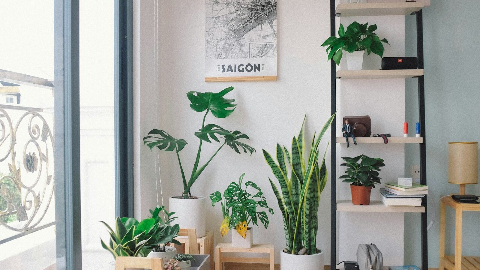 plants in pots between glass window and shelf