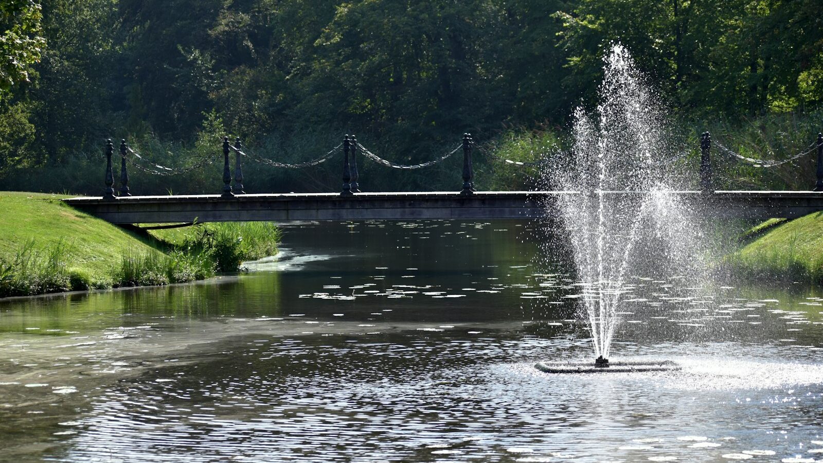 A pond with a fountain in the middle of it