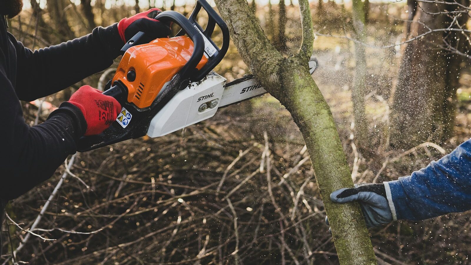 a man cutting a tree with a chainsaw