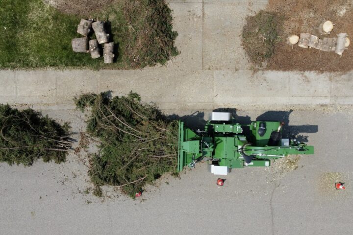 Tree chipper processing a large evergreen tree on street