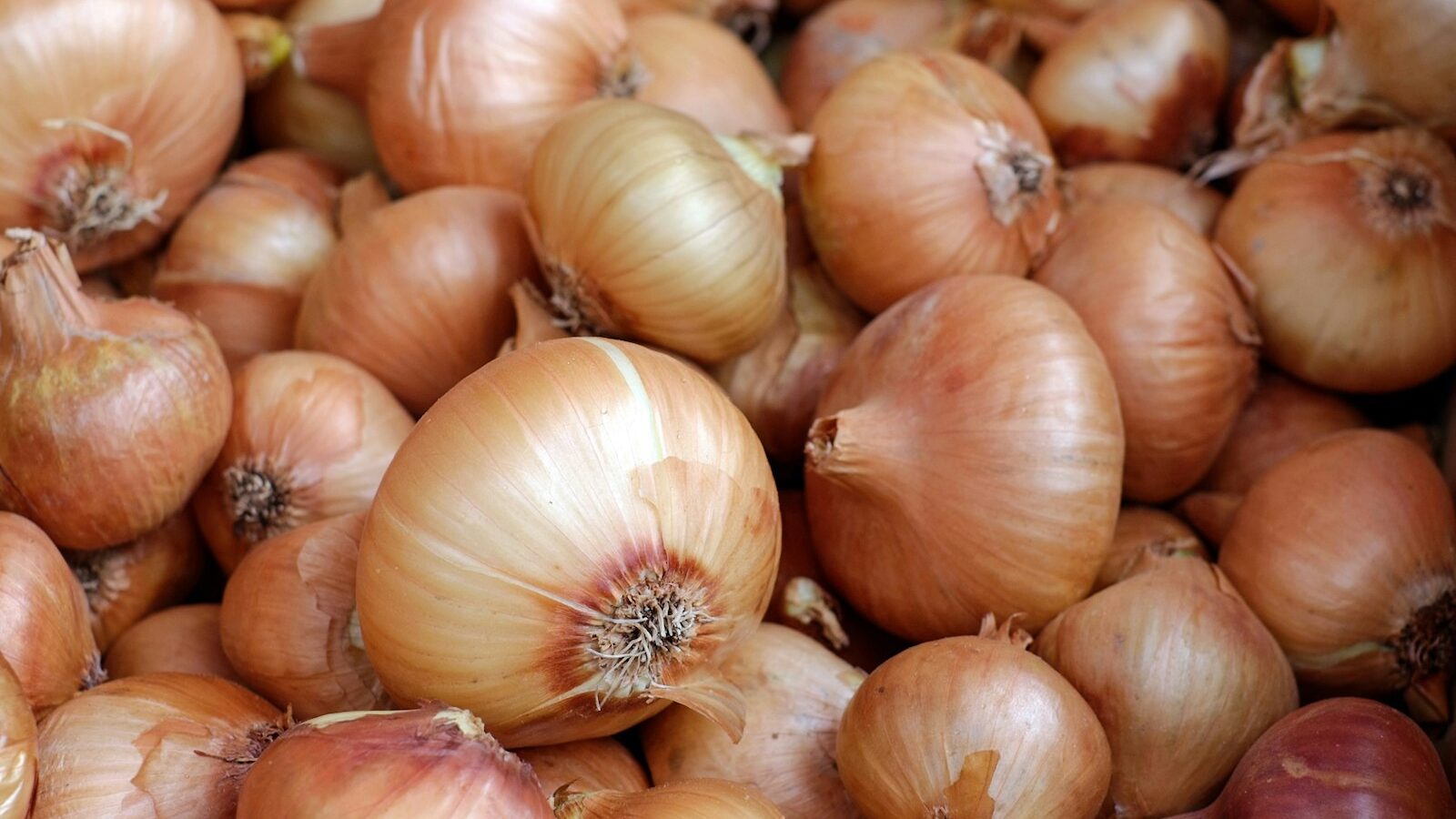 white garlic on brown wooden table
