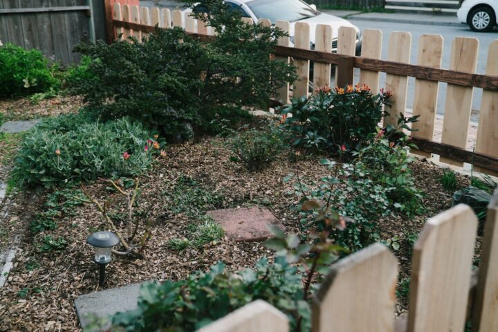 A small garden with a wooden fence and plants.