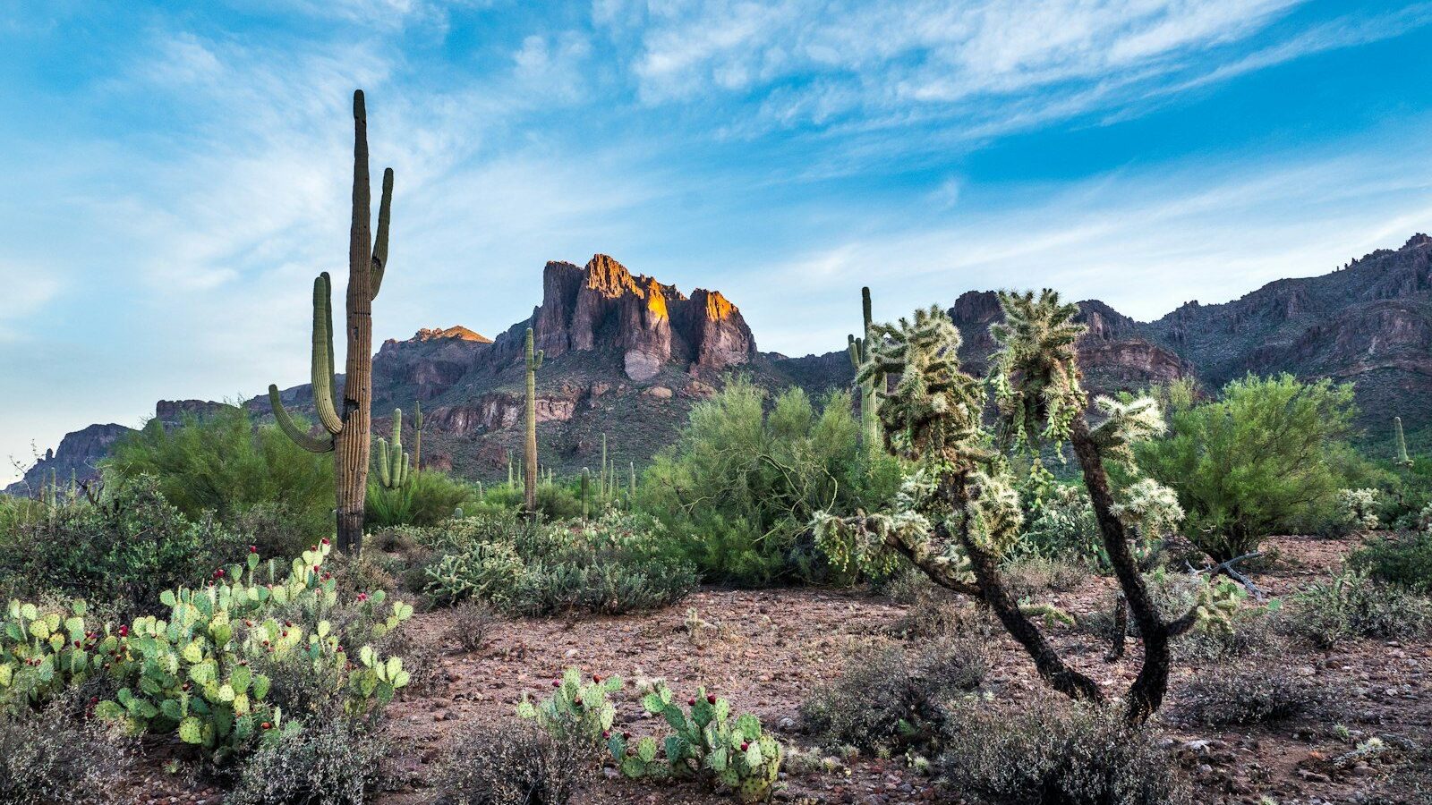 green trees near brown rock formation under blue sky during daytime