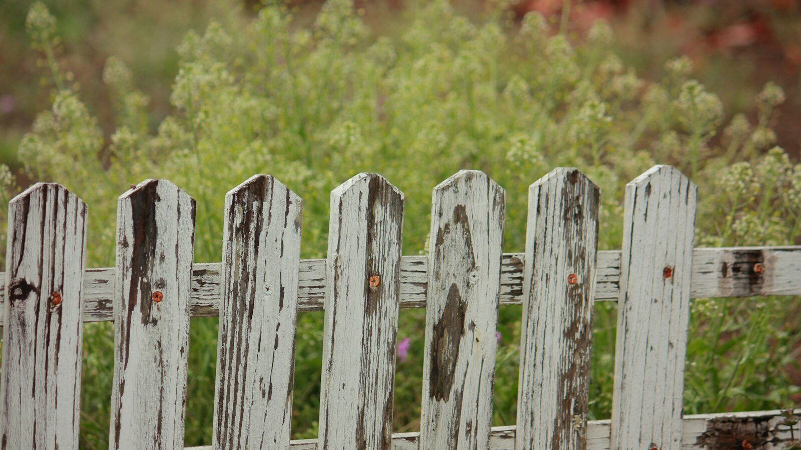 selective focus photography of wooden fence