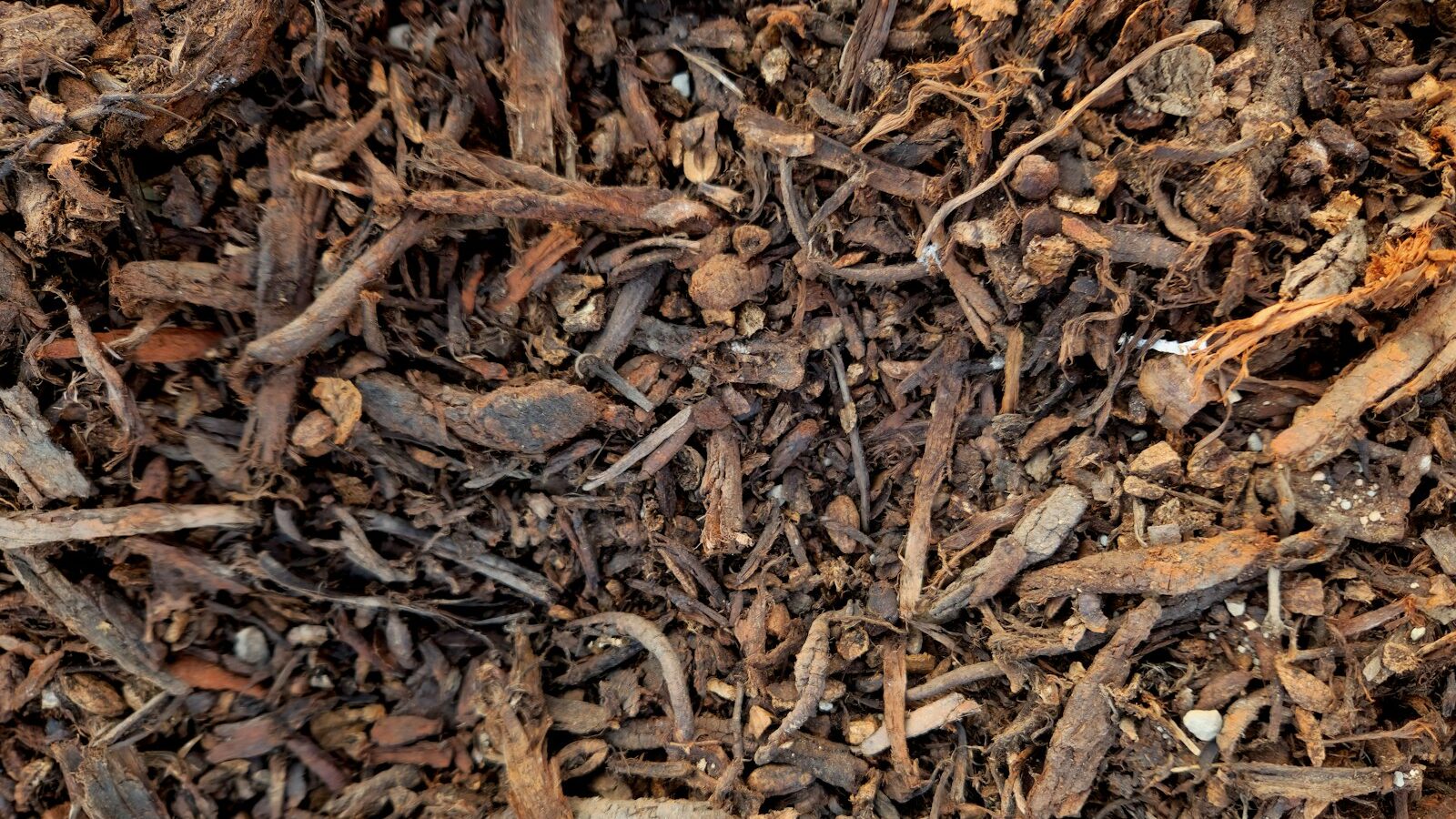 a close up of a pile of wood chips