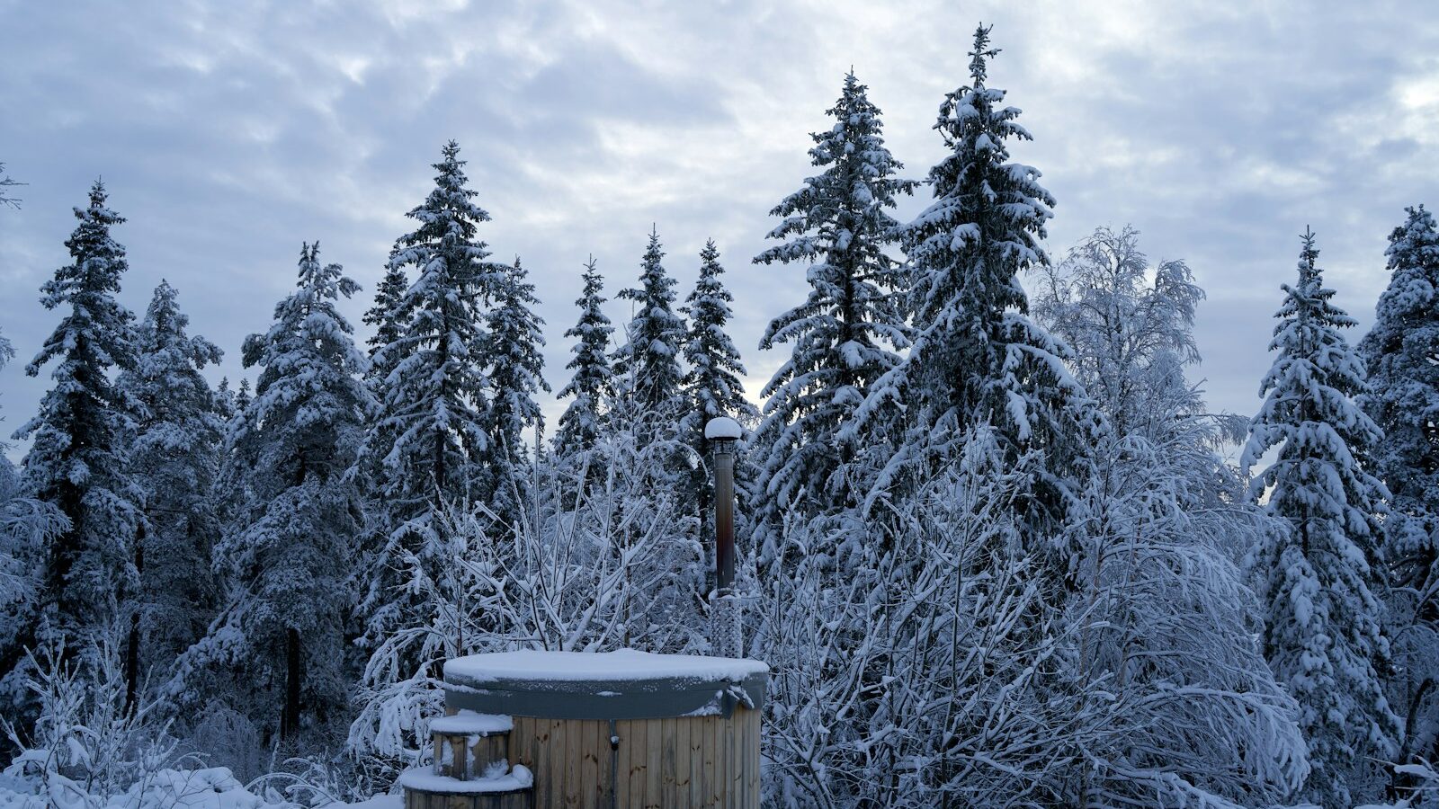 A hot tub in the middle of a snowy forest