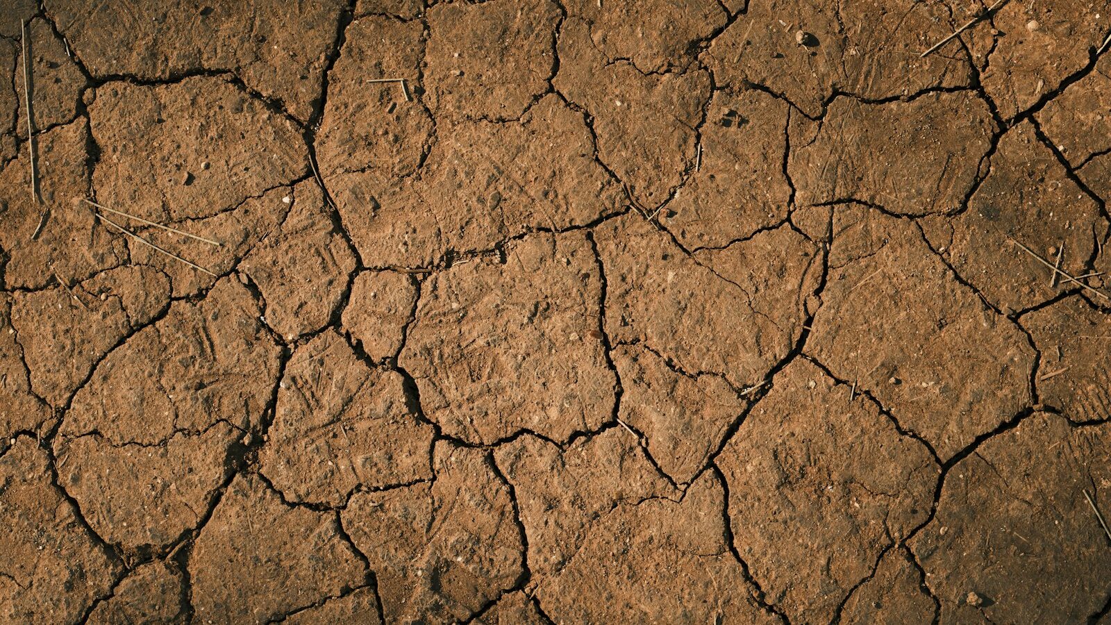 a dirt field with cracks and grass growing on it