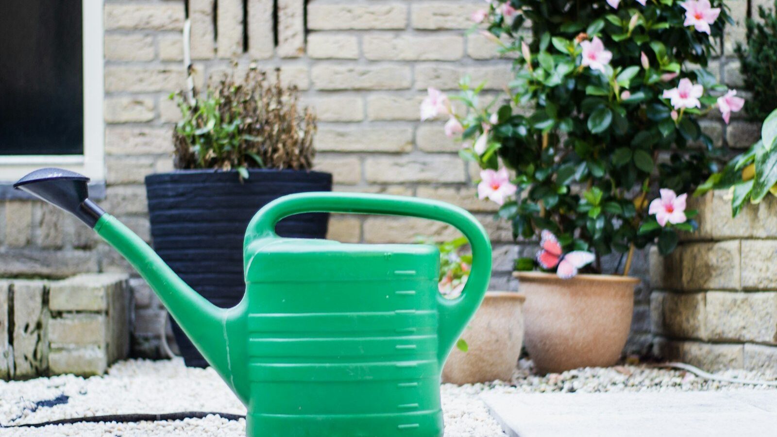 green watering can