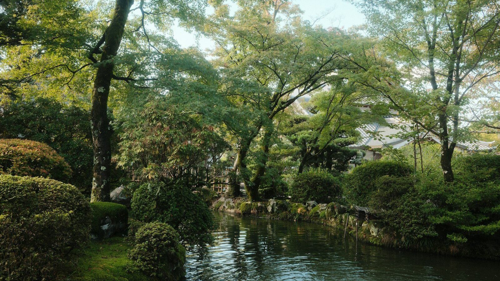 A tranquil garden with a calm stream and lush trees.