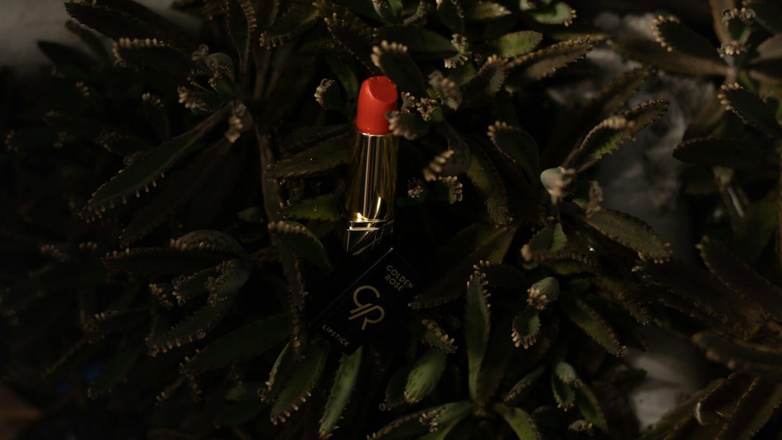 red lipstick on green pine tree