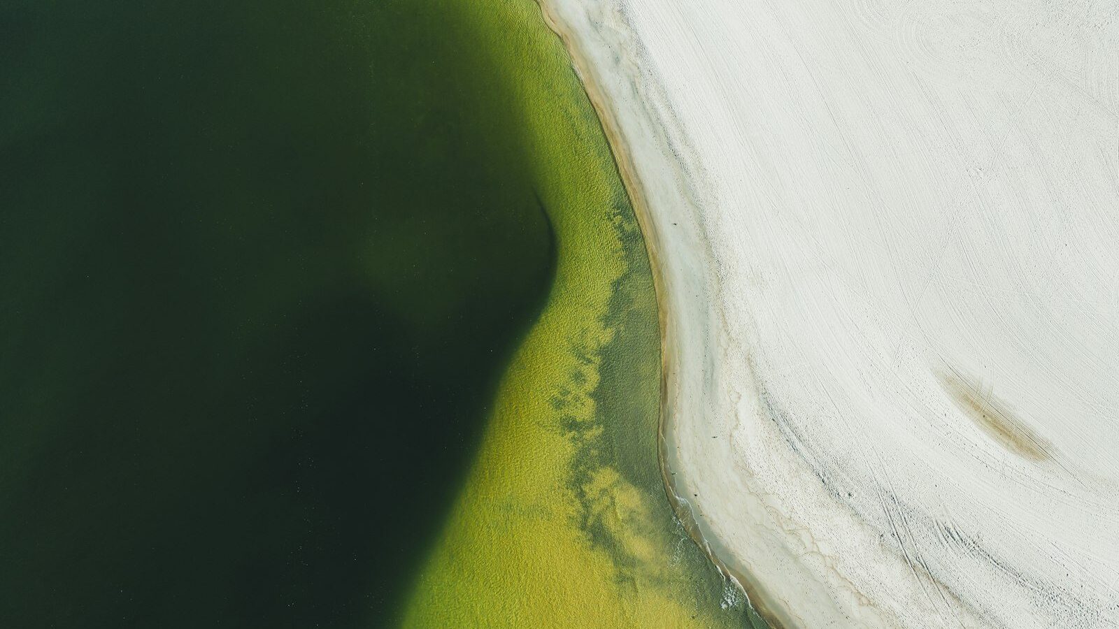 aerial view of green lake