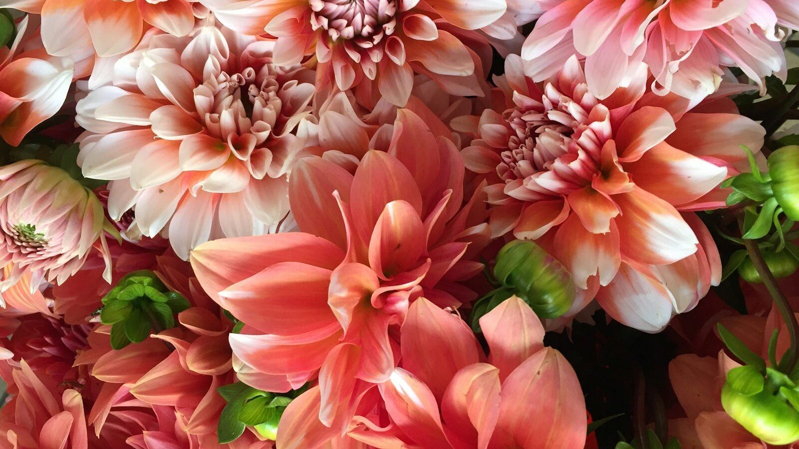 pink-and-white floral decor