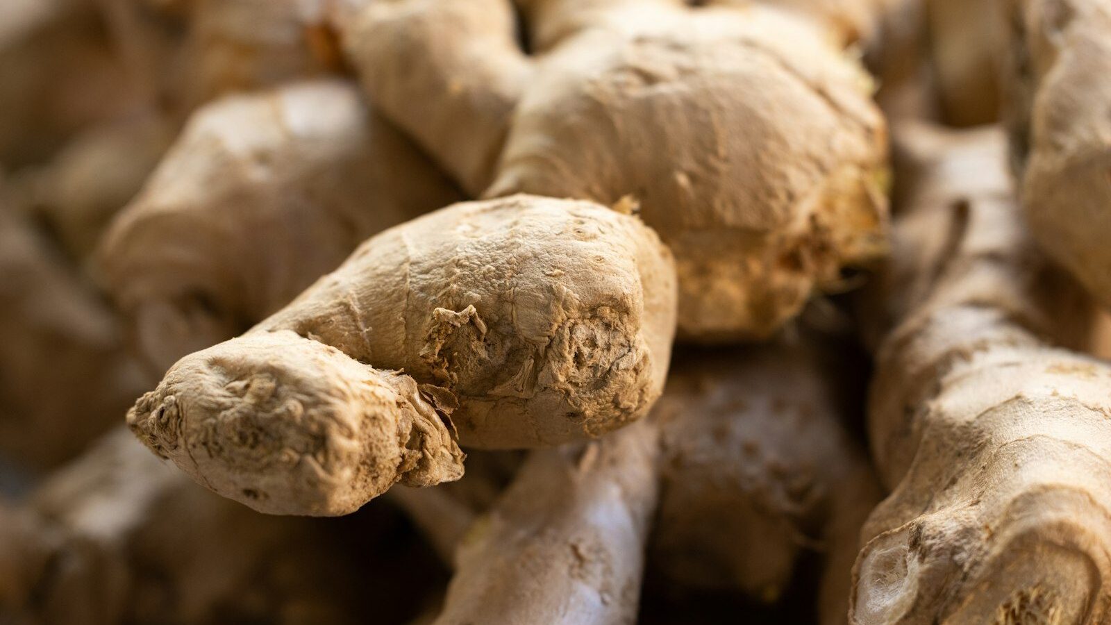 a close up of a bunch of ginger roots
