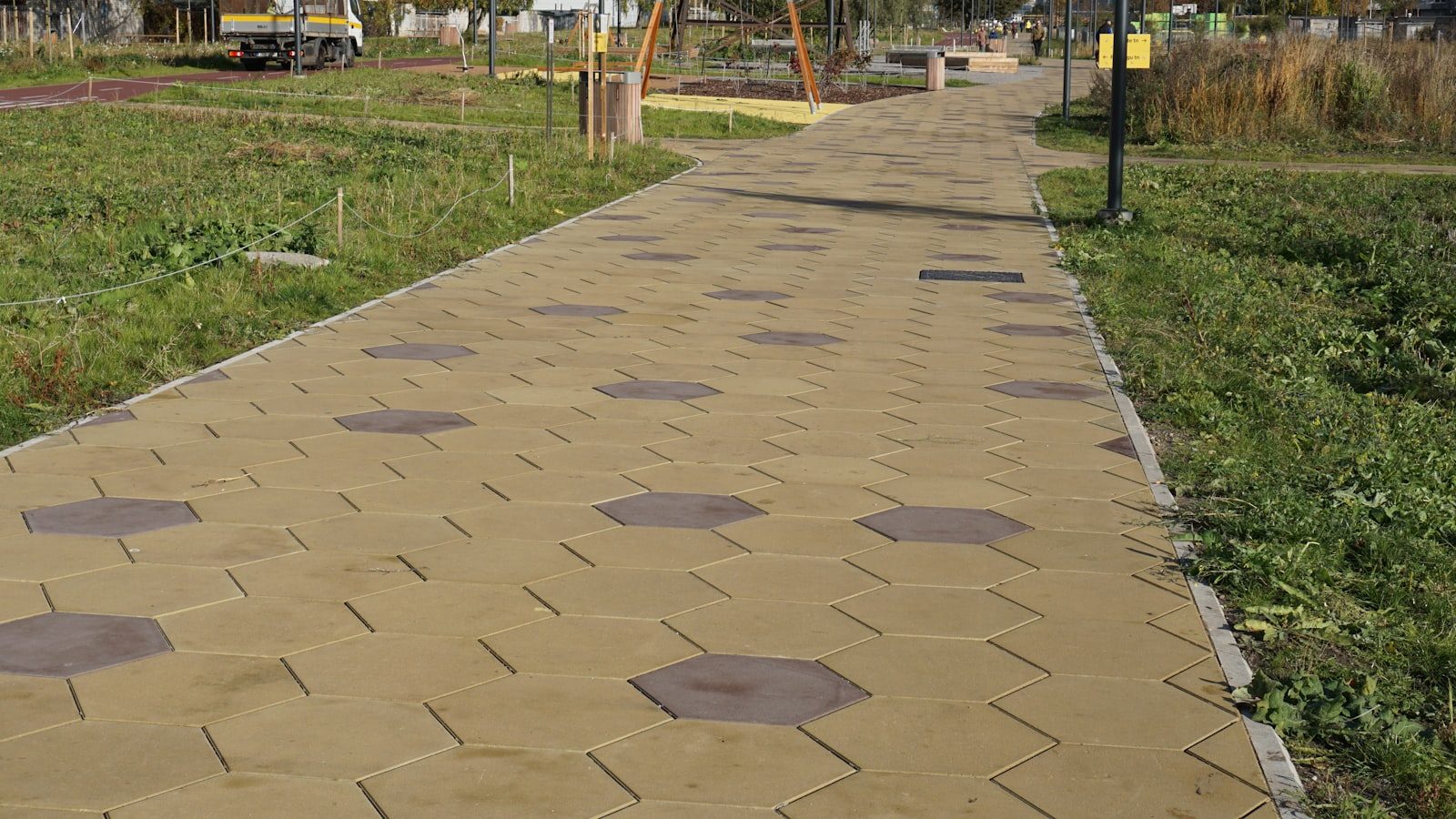 Hexagonal paving stones form a pathway through grass.