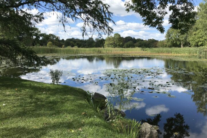 green grass field near lake under blue sky during daytime