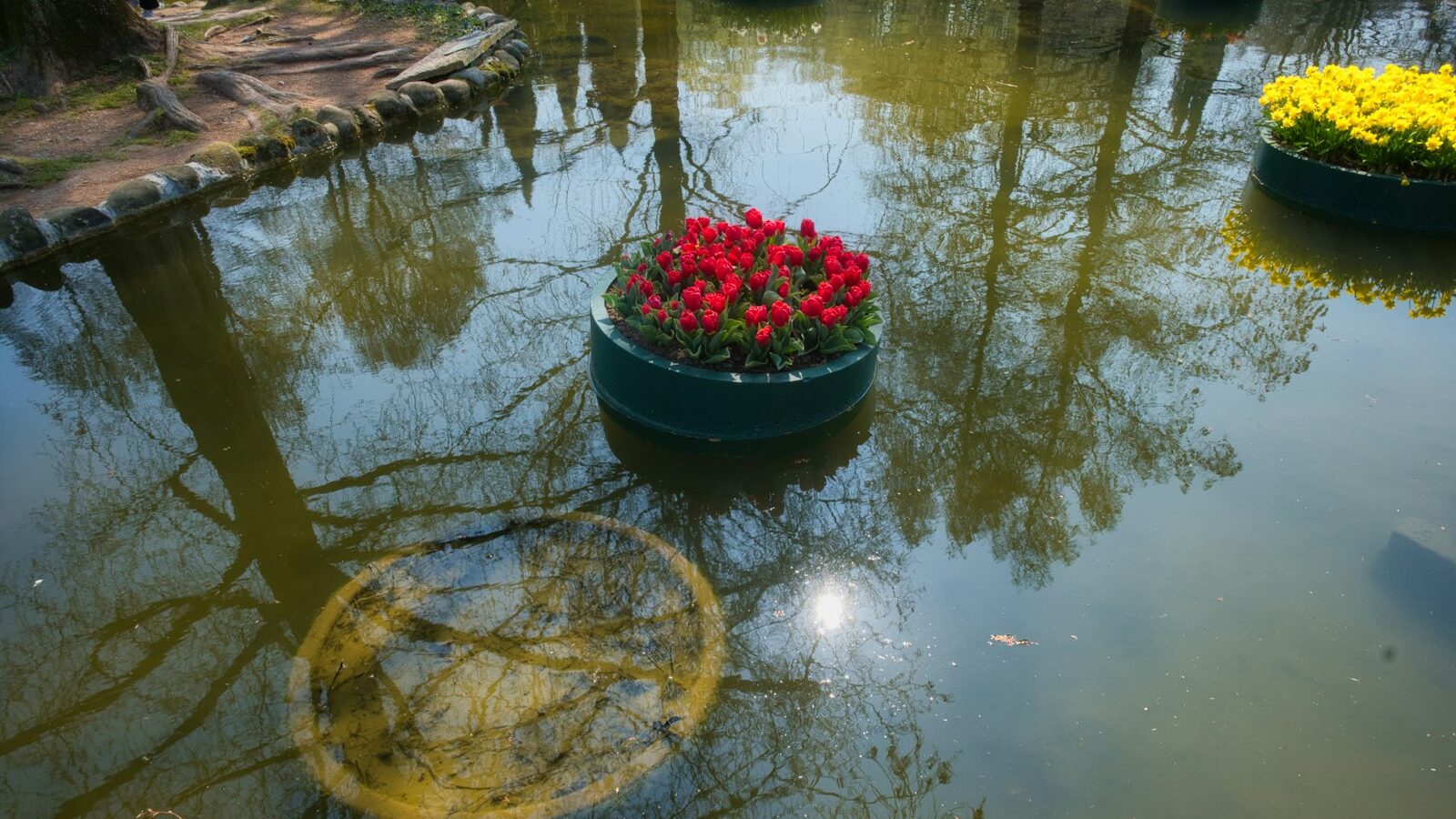 Floating flower pots with red and yellow flowers on water.