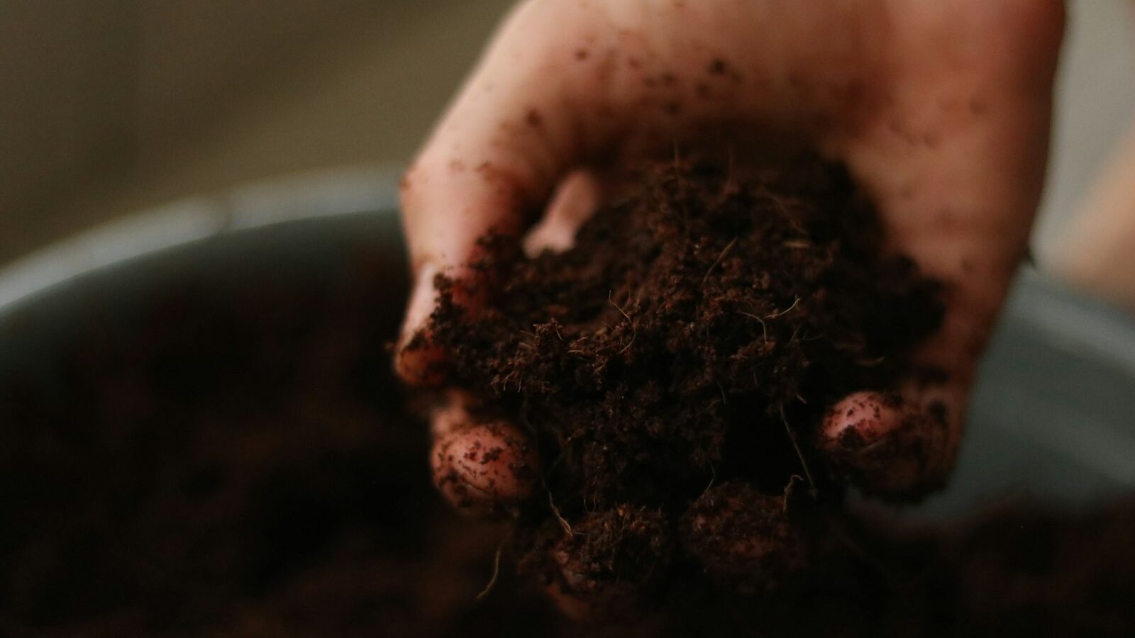 a person holding a handful of dirt in their hand