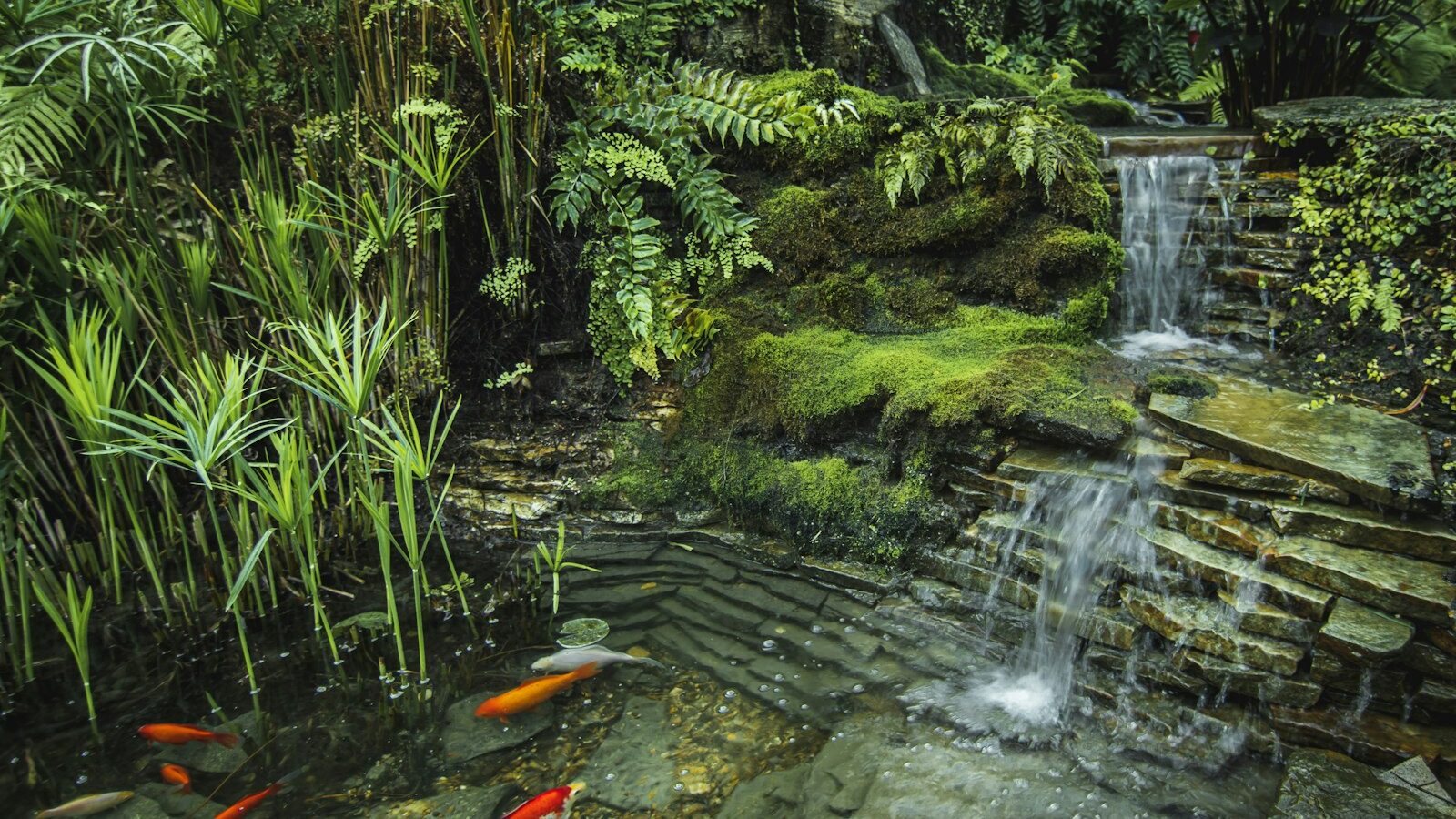 a small waterfall in the middle of a garden
