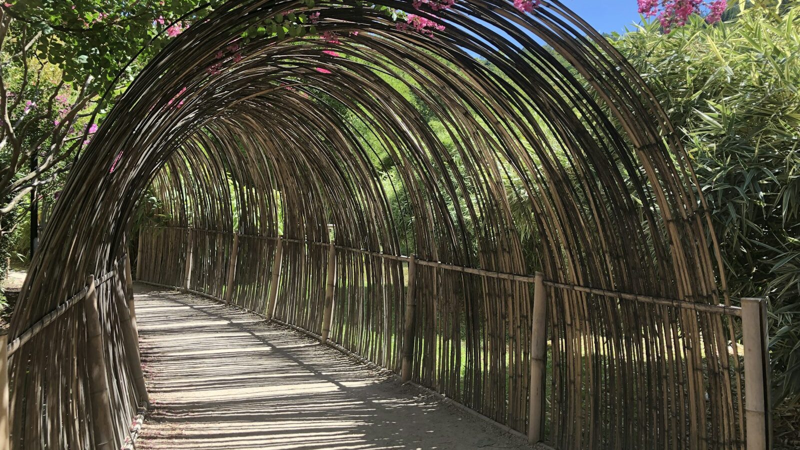brown wooden bridge with green plants