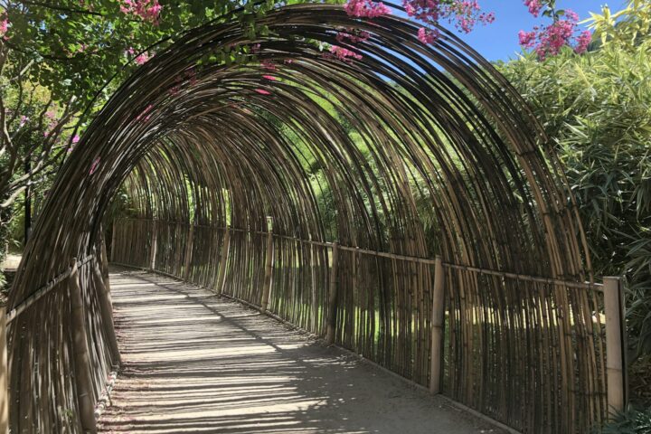 brown wooden bridge with green plants