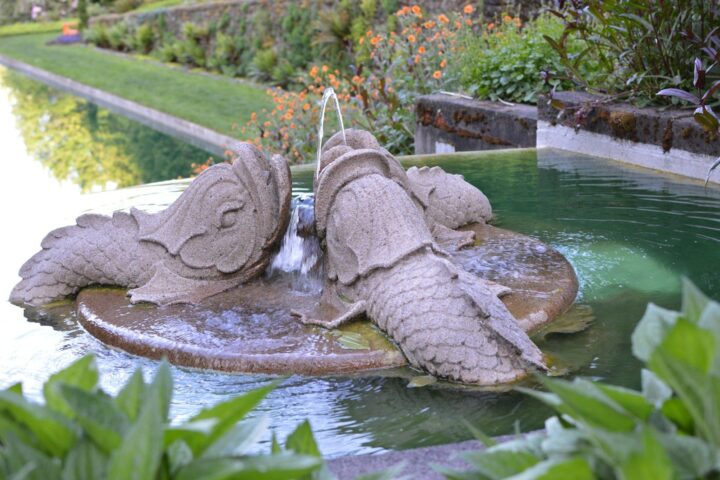 Stone fish fountain in a tranquil garden pond.