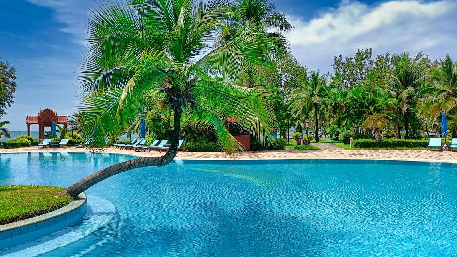 a pool with a palm tree in the middle of it