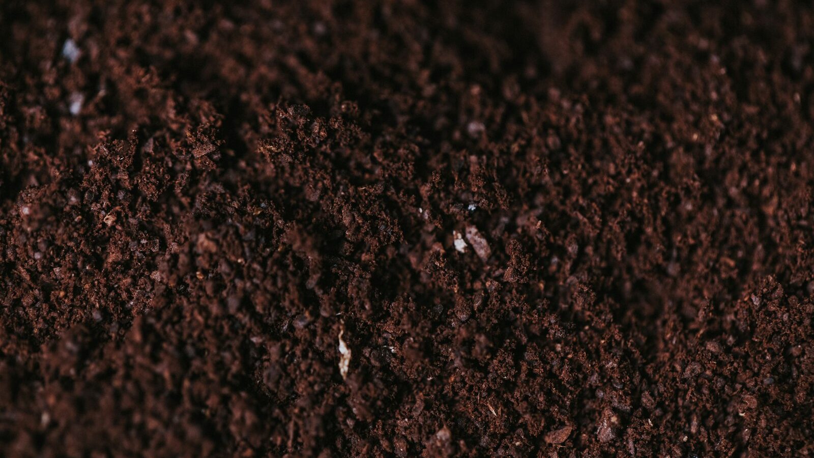 brown soil close-up photography