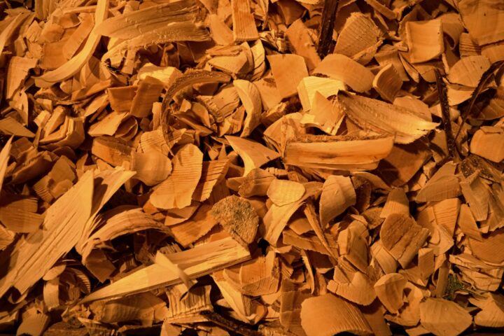 brown dried leaves on ground