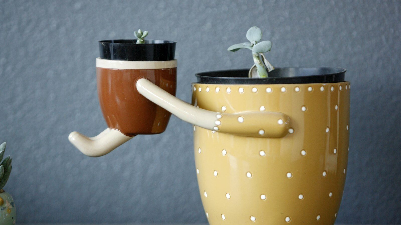 Two quirky planters are holding hands with plants.