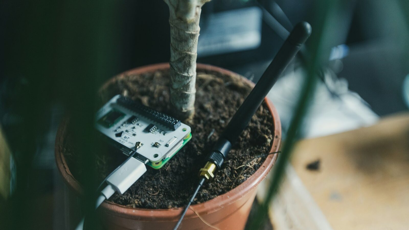 green and white digital device on brown clay pot