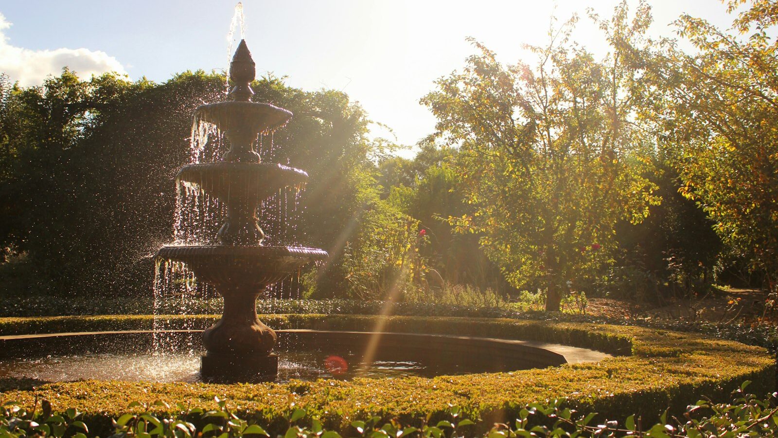 a water fountain in a park surrounded by trees