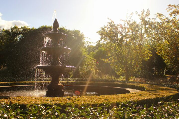 a water fountain in a park surrounded by trees