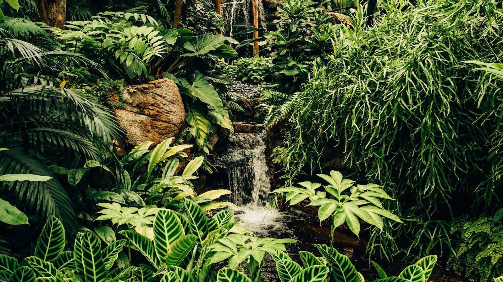 green plants and trees near water falls