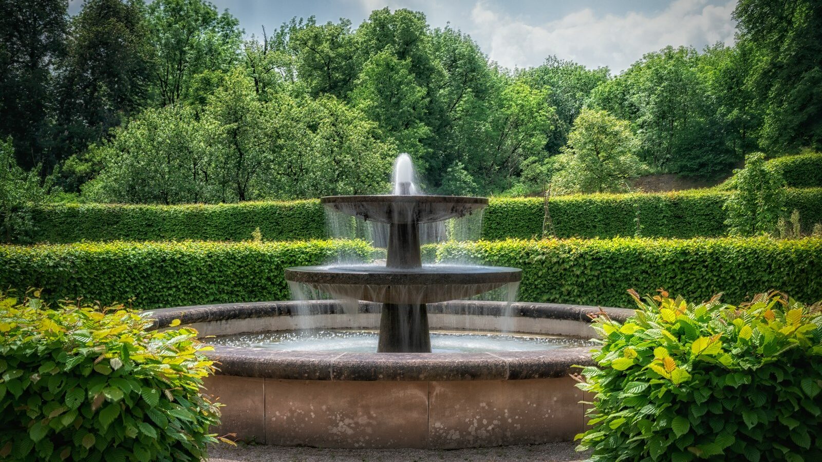 a water fountain surrounded by hedges and trees