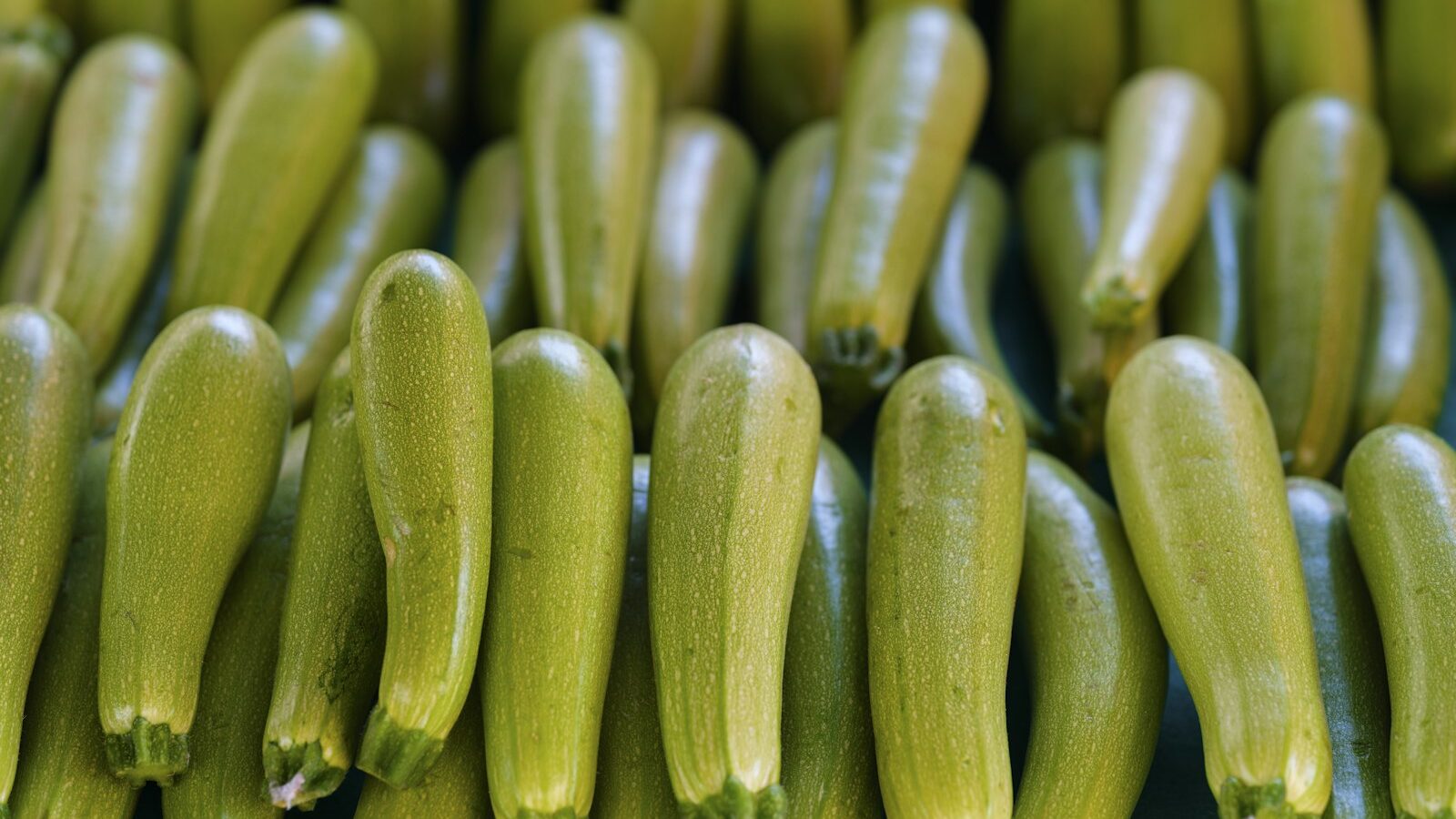 a bunch of green cucumbers sitting next to each other