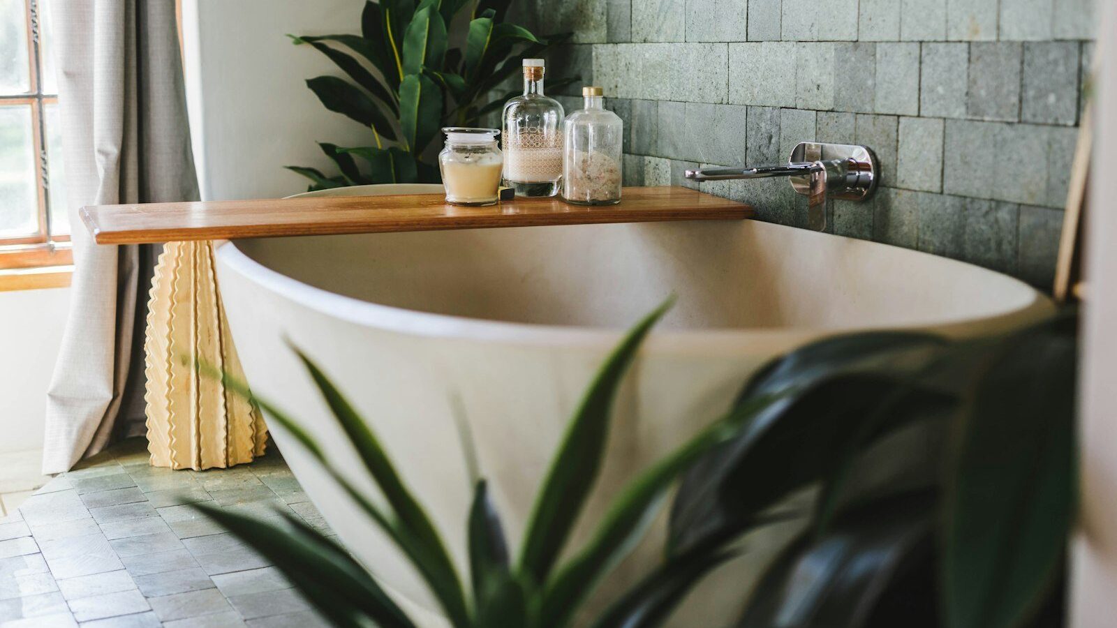 a bathroom with a plant and a bathtub