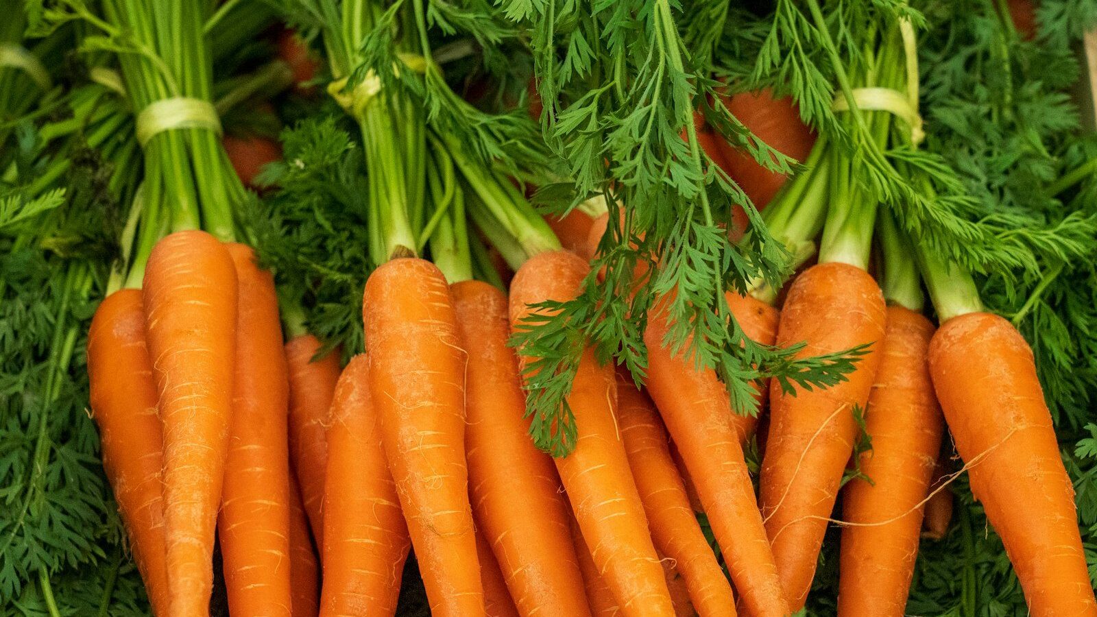a pile of carrots with green tops and leaves