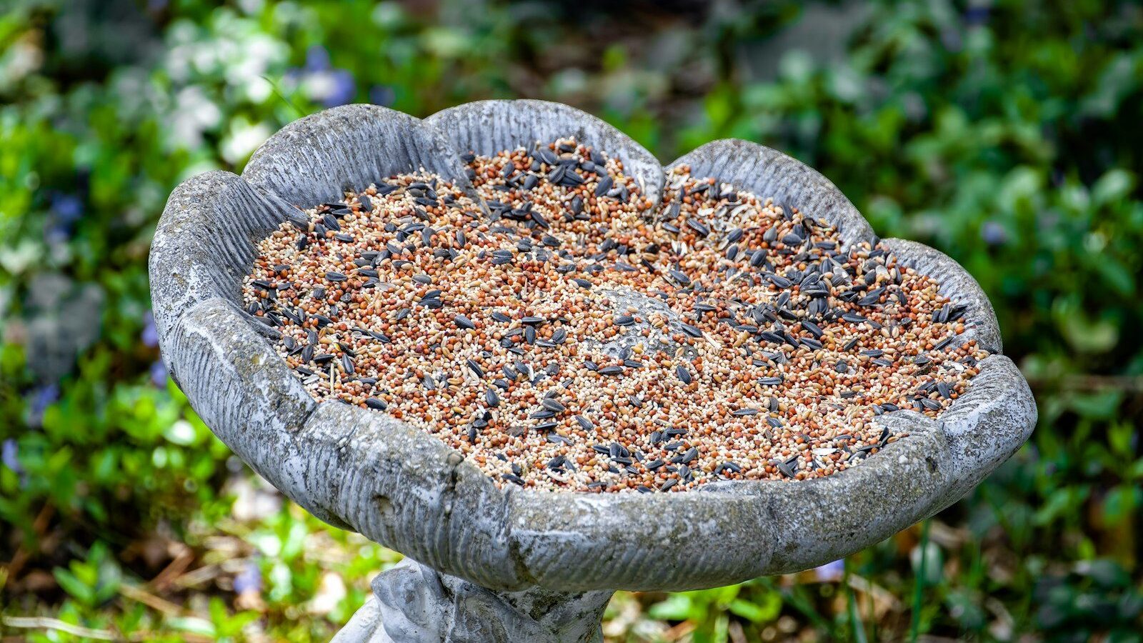 a bird bath in the middle of a garden
