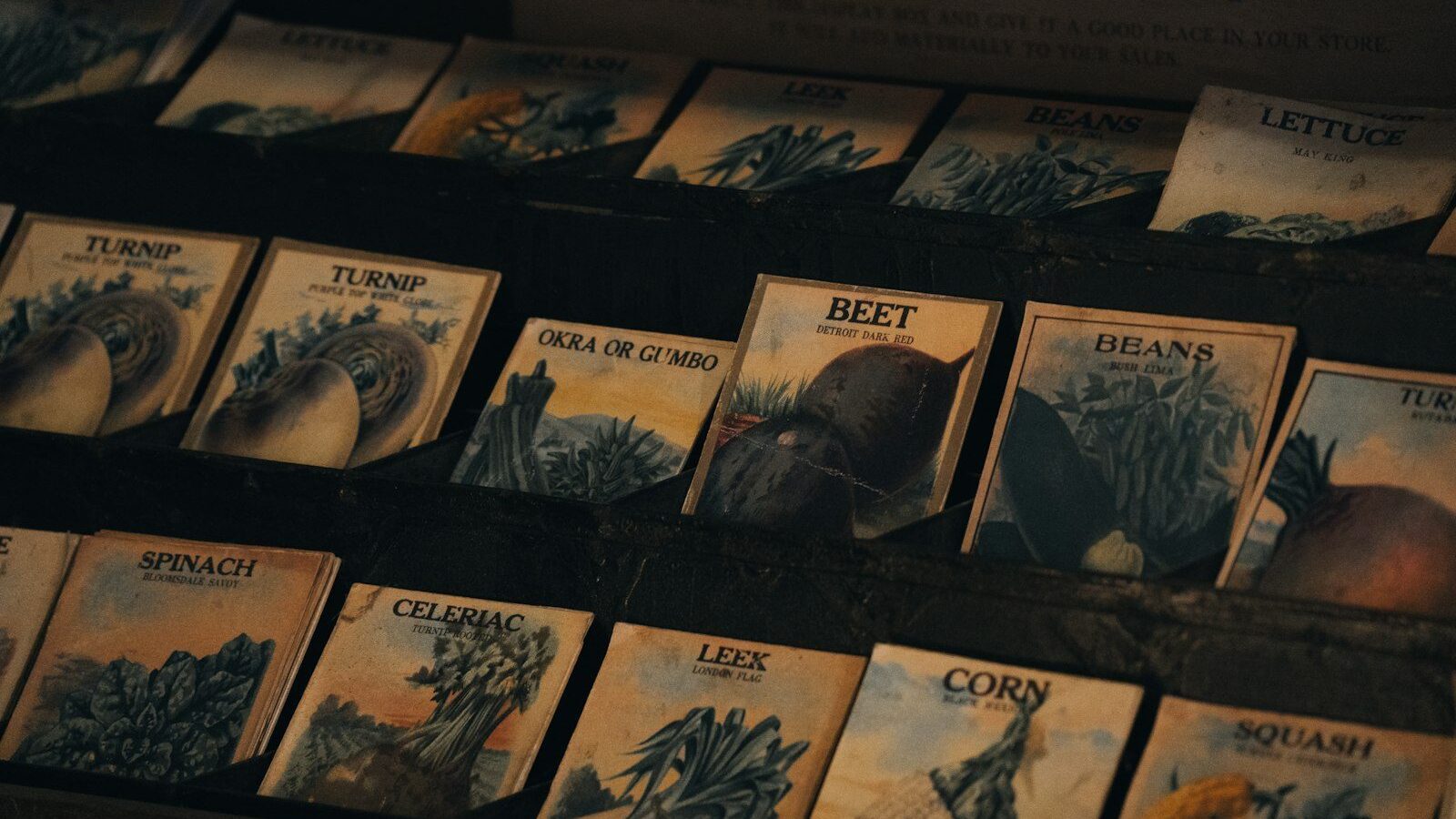 Assortment of vintage seed packets on shelves