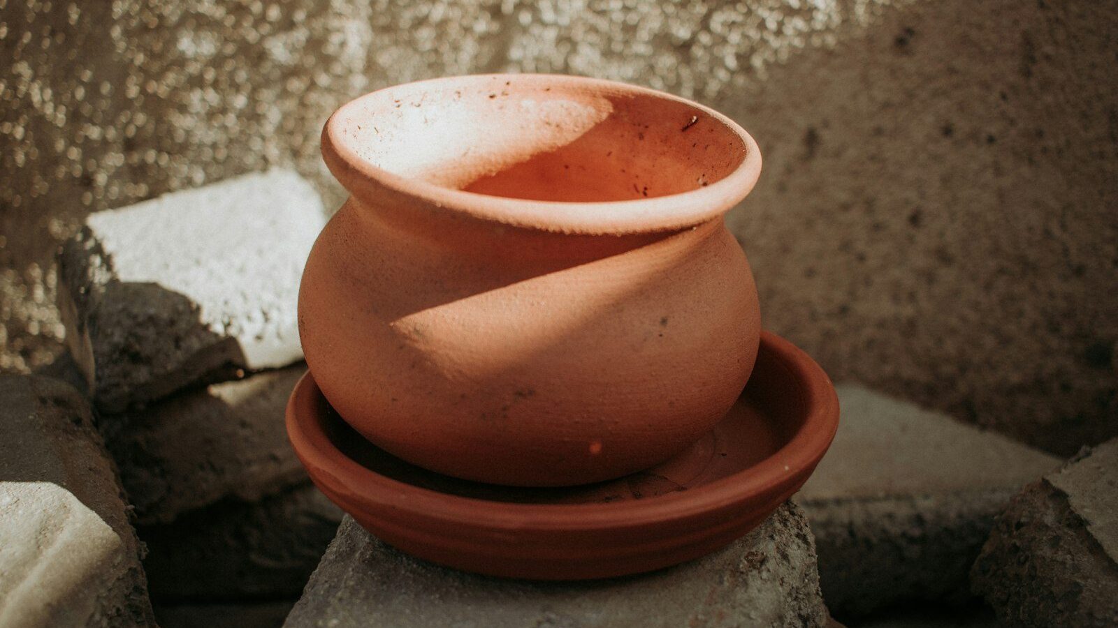 brown clay pot on gray concrete