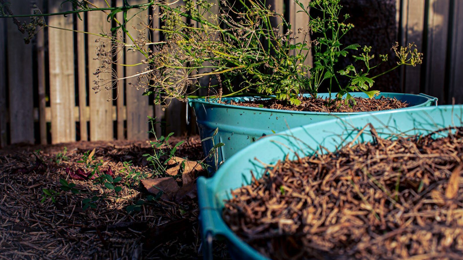 a blue tub with plants in it
