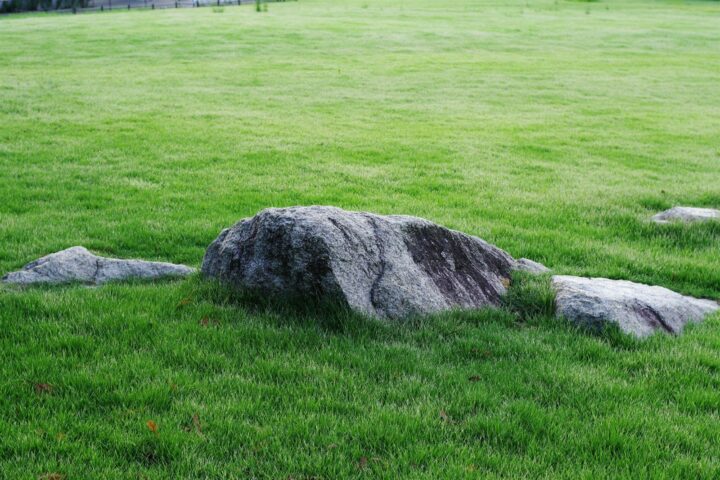 A large rock sitting in the middle of a lush green field
