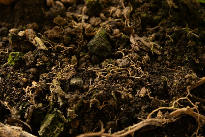 a close up of a pile of dirt