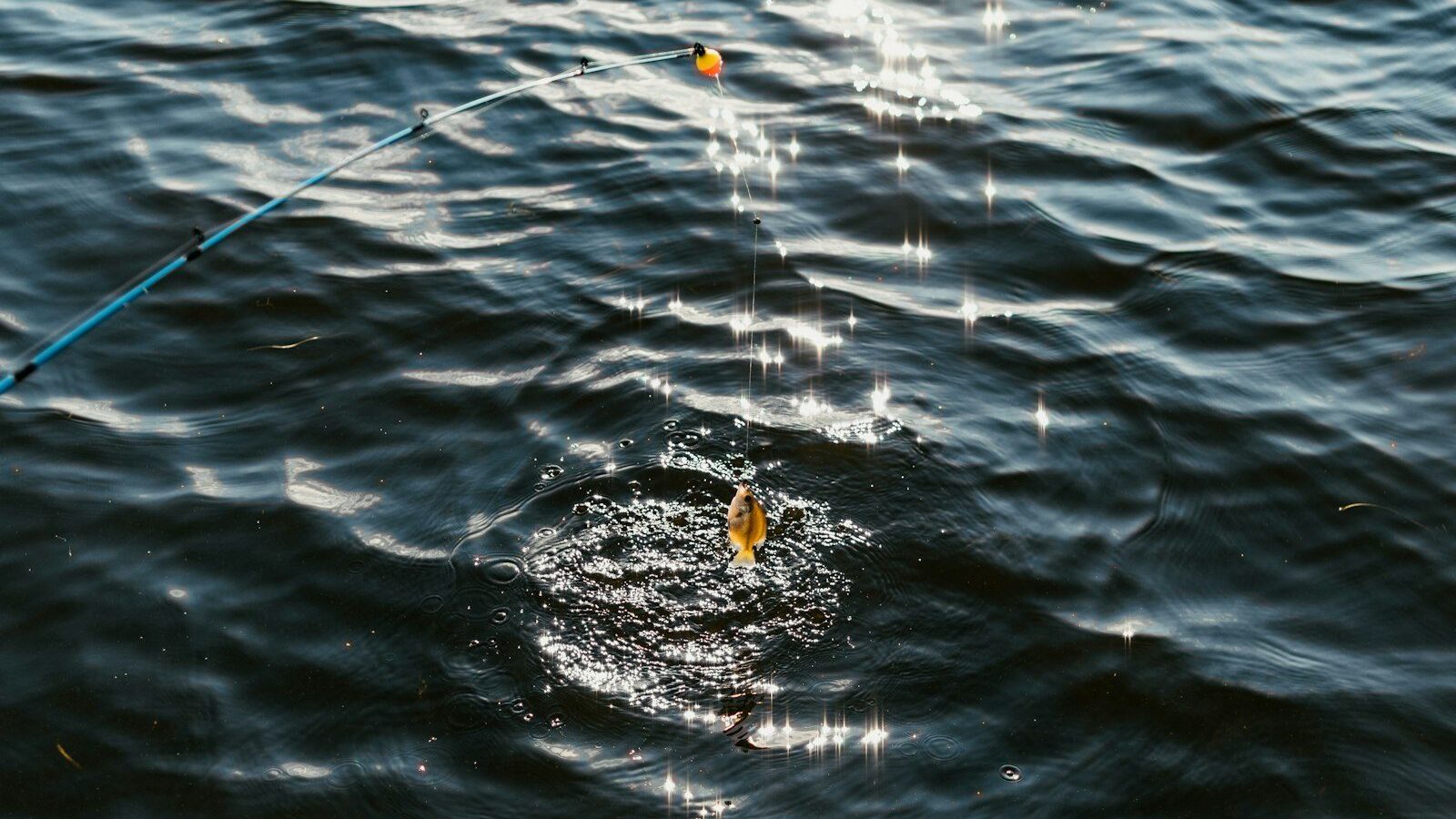 blue ocean photography
